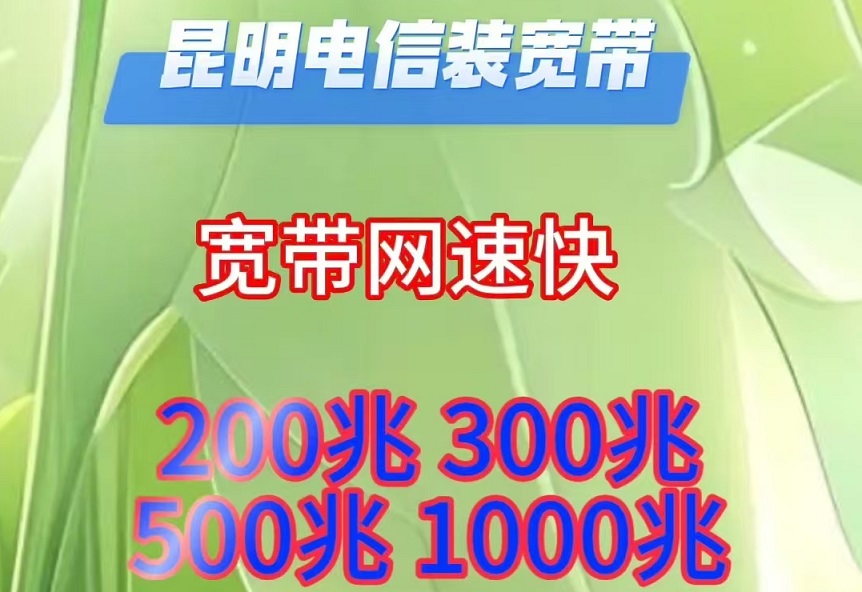 ſ2025ײʷѼ۸-ſ
